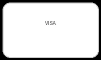 VISA支付